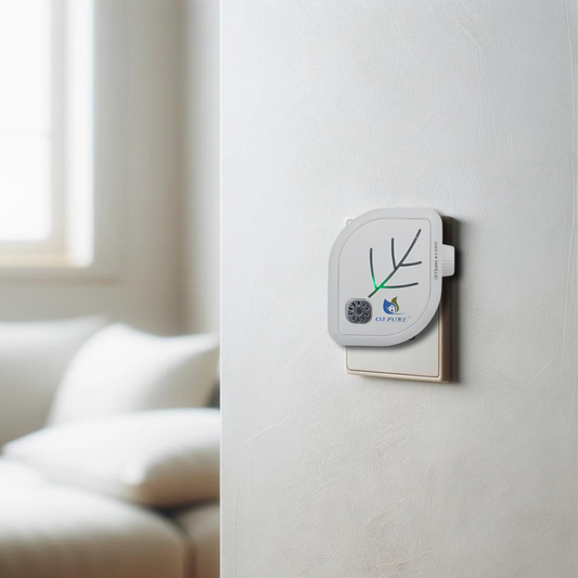 Air Quality Improvement: Tips for a Healthier Home - O3 PURE