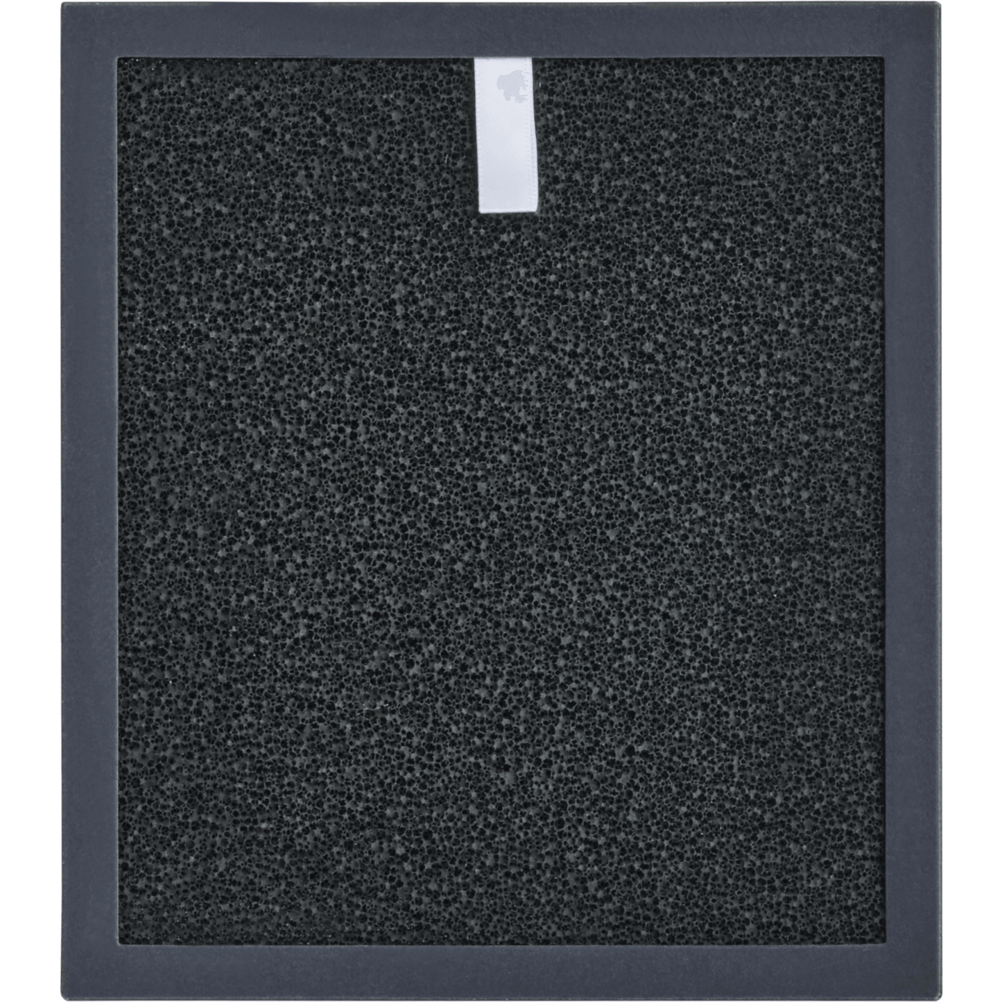PE 4000 Activated Carbon Filter
