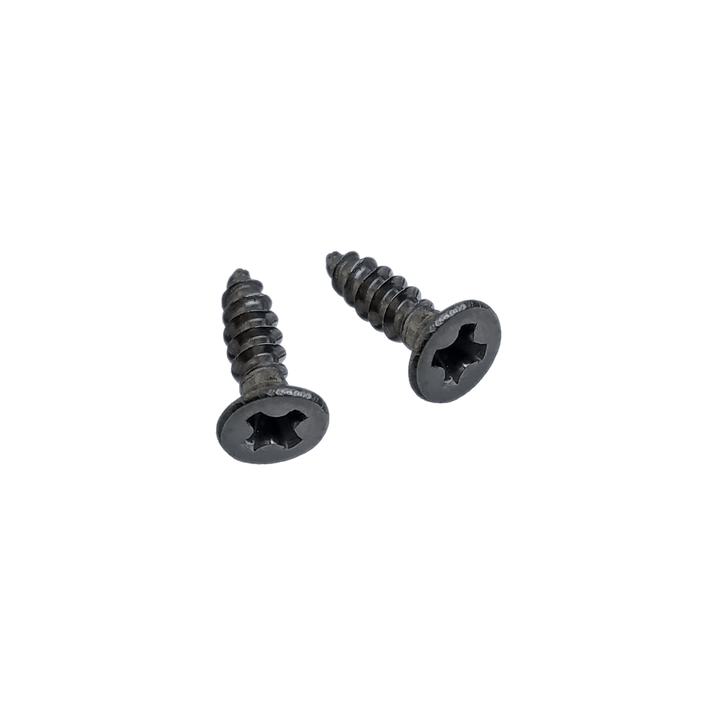 Replacement set of 2 stainless steel screws