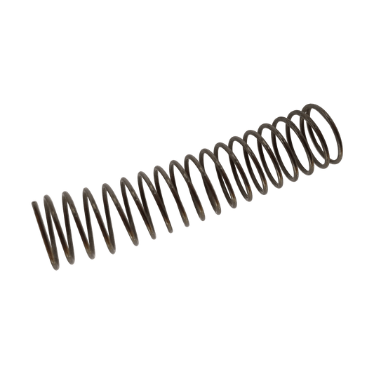 Stainless Steel Spring