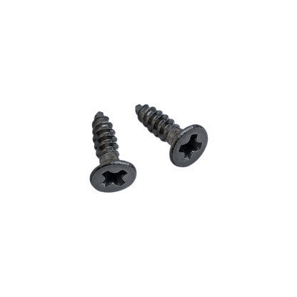 Replacement set of 2 stainless steel screws